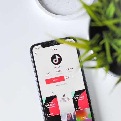Tik Tok, quel intérêt pour les entreprises?